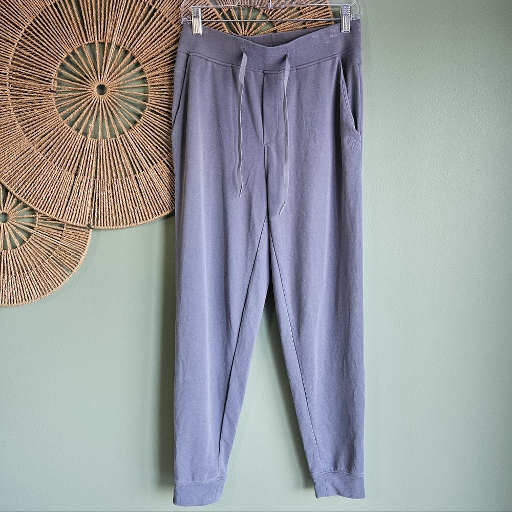 Cozy Earth Modal Blend Gray Jogger Loungewear Pants